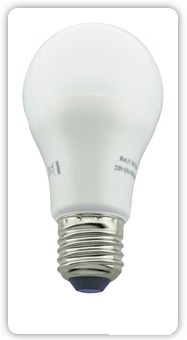 81196ECAL-2.jpg